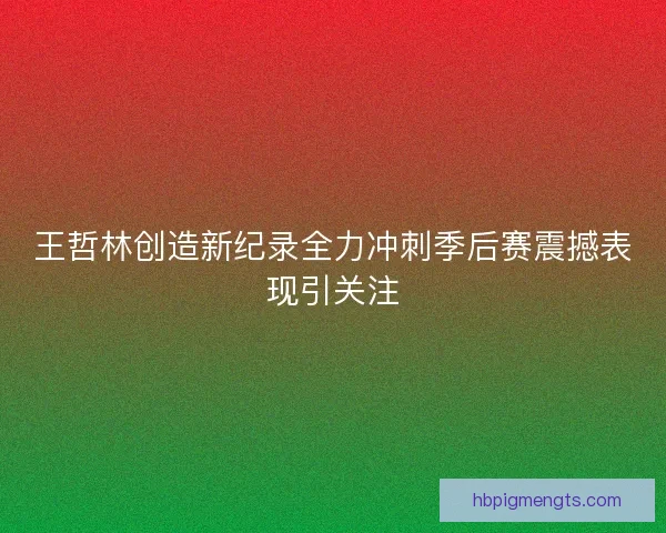 王哲林创造新纪录全力冲刺季后赛震撼表现引关注